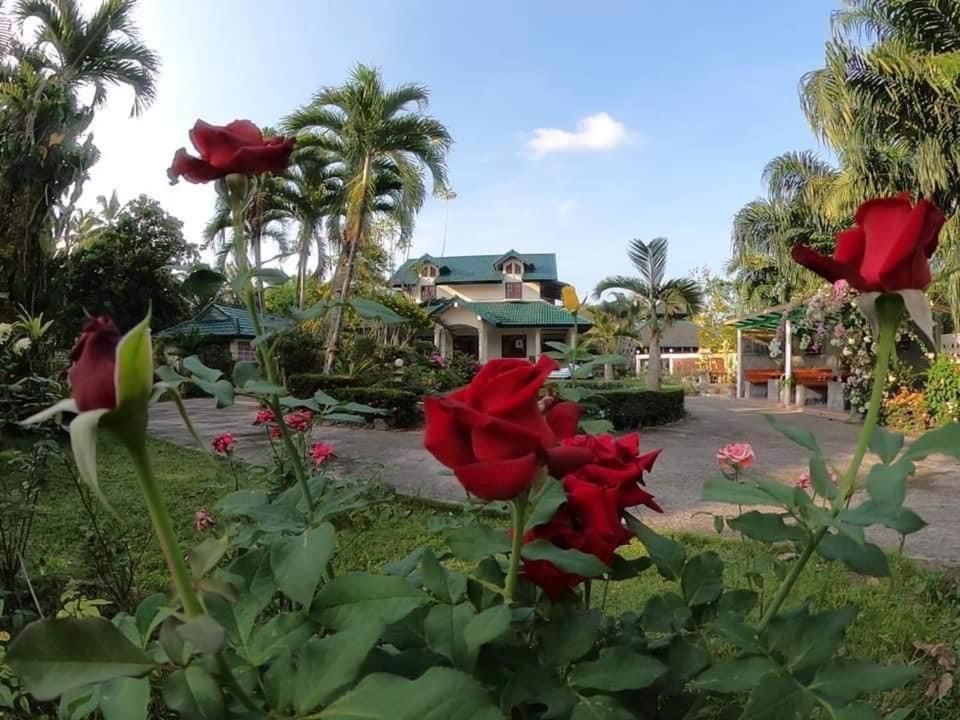 Ekman Garden Resort Sichon Bagian luar foto